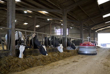 Onze Agrarische Expertise
